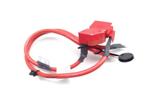 BMW 1 F20 F21 Positive wiring loom 9253111 10304410 925311103