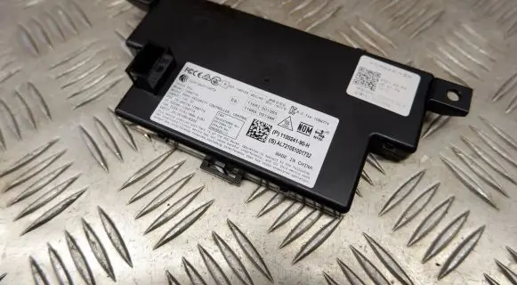 Tesla Model 3 Other control units/modules 110024190H