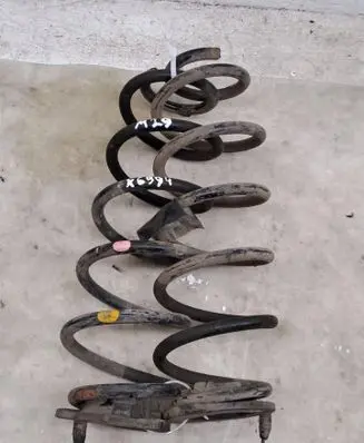 Rear coil spring