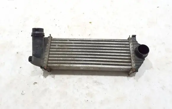 Mercedes-Benz Citan W415 Intercooler radiator 144961489R