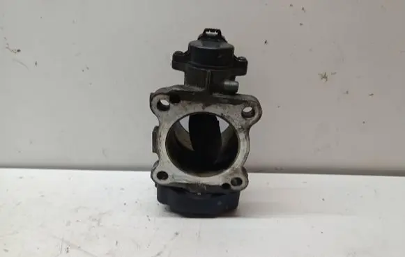 Toyota Hilux (AN10, AN20, AN30) Throttle valve 1923002010 10H21
