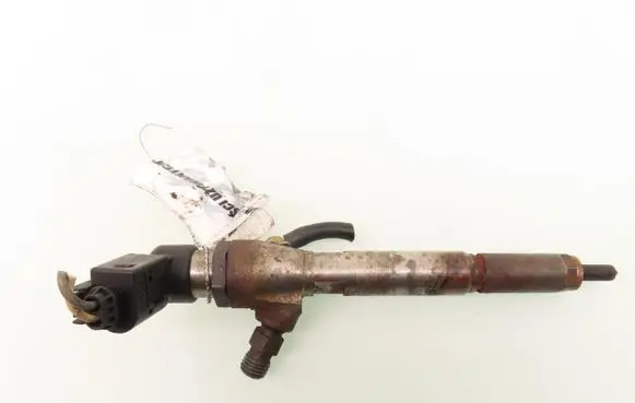 Renault Scenic II - Grand scenic II Fuel injector 8200380253 H8200294788