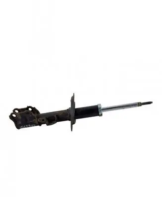 Front coil spring