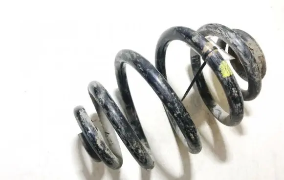 Volkswagen PASSAT B5 Rear coil spring