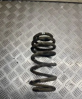 Rear coil spring