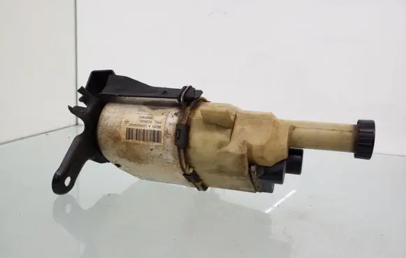 Electric power steering pump