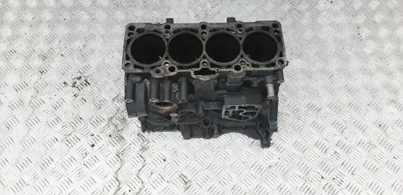 Volkswagen PASSAT B7 Engine block 03G021AC