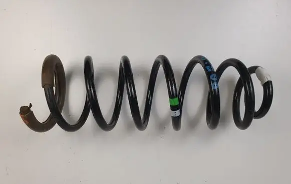 Rear coil spring