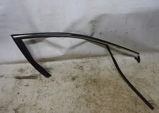 Citroen DS4 Front door rubber seal 20CA36