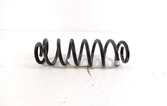 Rear coil spring