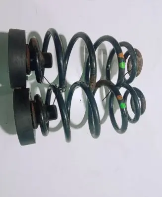Volkswagen PASSAT B5 Rear coil spring