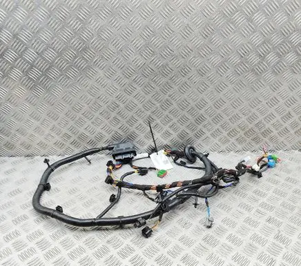 Aston Martin DBX Front door wiring loom PY8314630CA