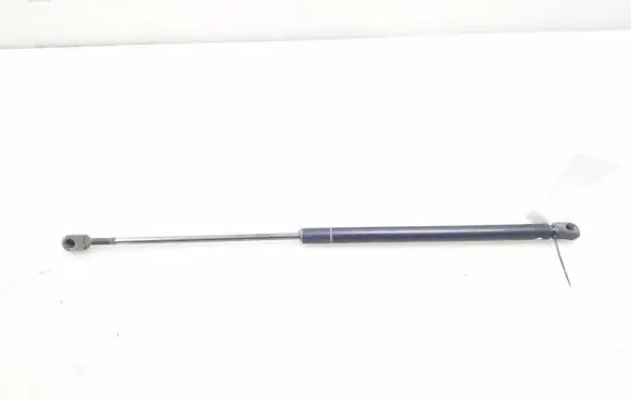 Tailgate strut