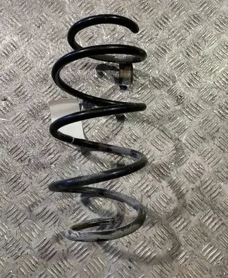 Front coil spring