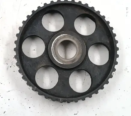 Volkswagen PASSAT B5 Camshaft pulley/ VANOS 069109111
