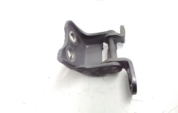 Honda Civic IX Front door lower hinge 