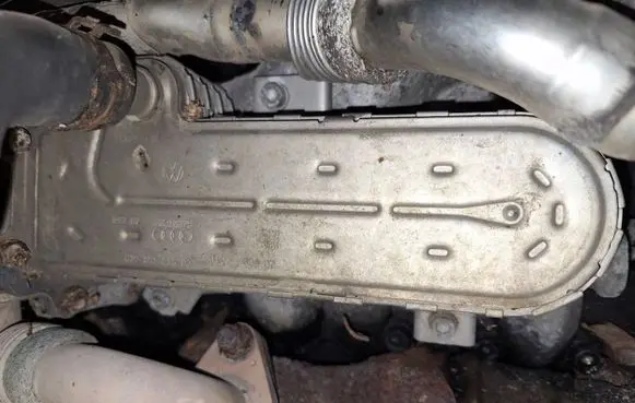 Seat Leon (1P) EGR valve cooler 038131513