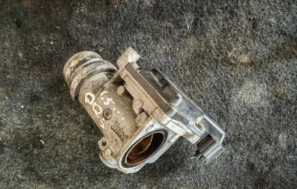 Nissan Qashqai Throttle valve 820061498F