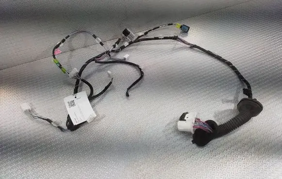 Front door wiring loom