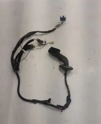 Rear door wiring loom