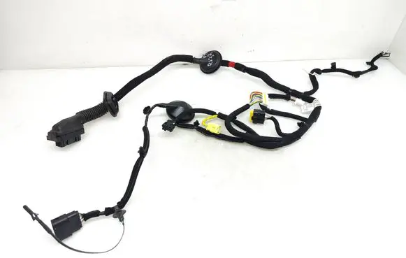 KIA Niro Front door wiring loom 91981G5010