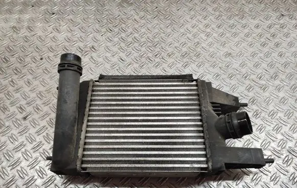 Nissan Juke I F15 Intercooler radiator 144613ZU0B