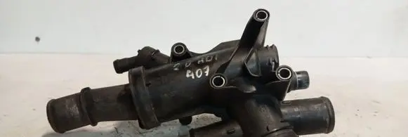 Peugeot 307 Thermostat housing 