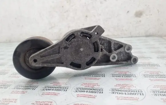 Seat Exeo (3R) Alternator belt tensioner 06B903133E