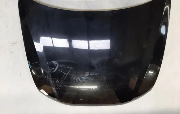Engine bonnet/hood