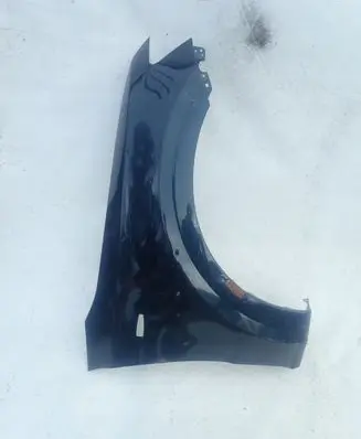 Mitsubishi Pajero Fender