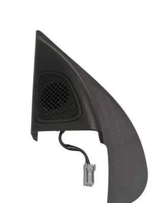 Hyundai Tucson IV NX4 Front door speaker 87650N7020