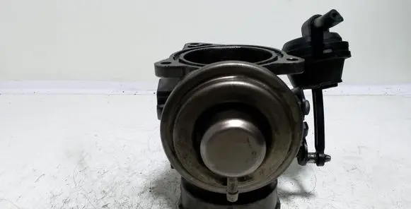 Ford Galaxy EGR valve 038131501AA 198219077