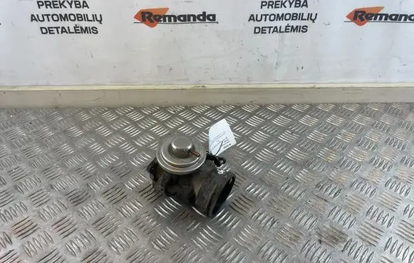 Volkswagen Transporter - Caravelle T5 EGR valve 0381296371