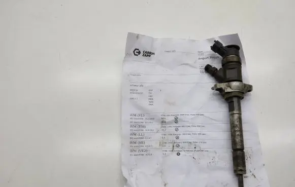 Citroen C5 Fuel injector 0445110297