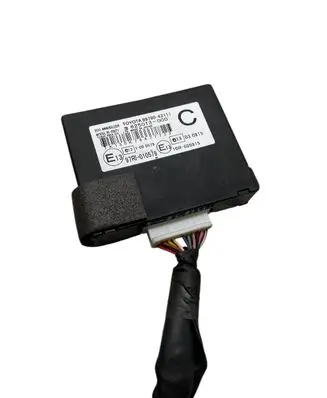 Immobilizer control unit/module