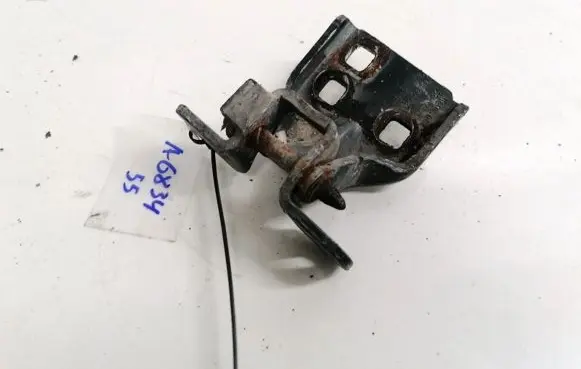 Rear door lower hinge