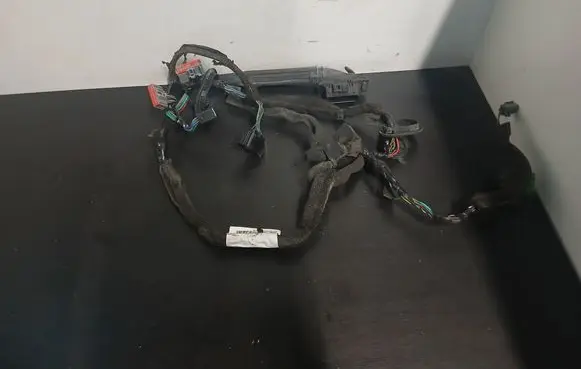 Volvo S80 Front door wiring loom A12026019 30773664