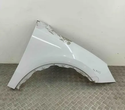 Porsche Cayenne (9Y0 9Y3) Fender 9Y0821106BY