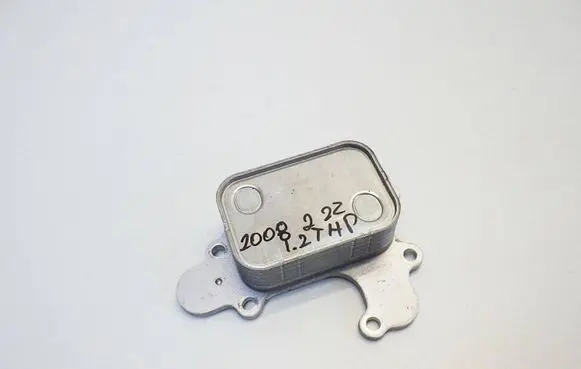 Peugeot 2008 II Engine oil radiator 9839253380