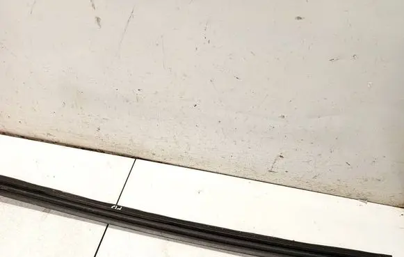 Nissan Pixo Front door glass trim molding 