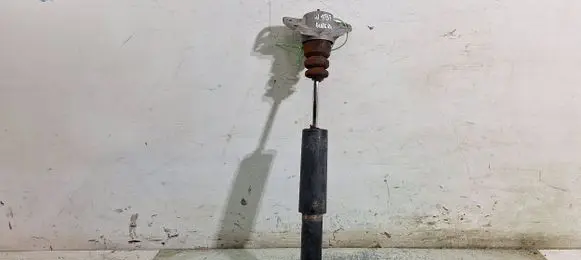 Rear shock absorber/damper