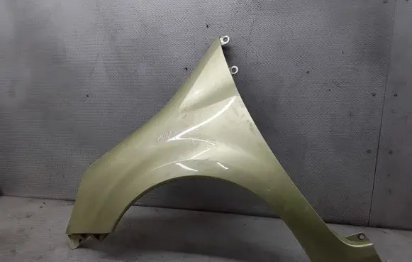 Renault Modus Fender