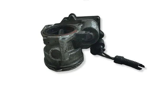 Volkswagen PASSAT B6 Throttle valve A2C53380146 1602161342