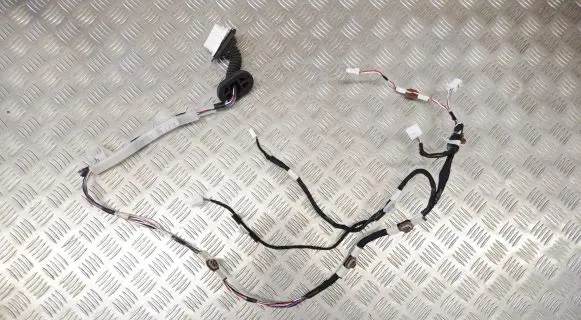 Toyota Highlander XU70 Rear door wiring loom 821530E160