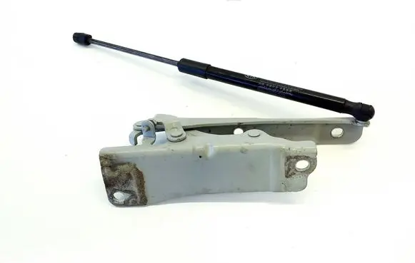 Engine bonnet/hood hinges