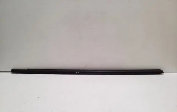 Front door glass trim molding