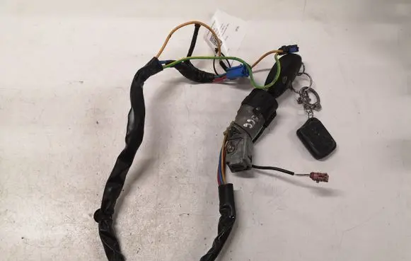 Citroen C5 Ignition lock 9632897680
