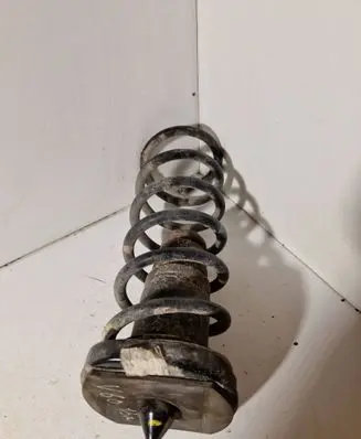 Rear coil spring