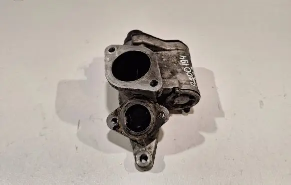 Renault Scenic II - Grand scenic II EGR valve 8200507299