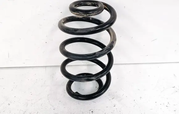 Rear coil spring